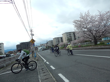 DSCN6119