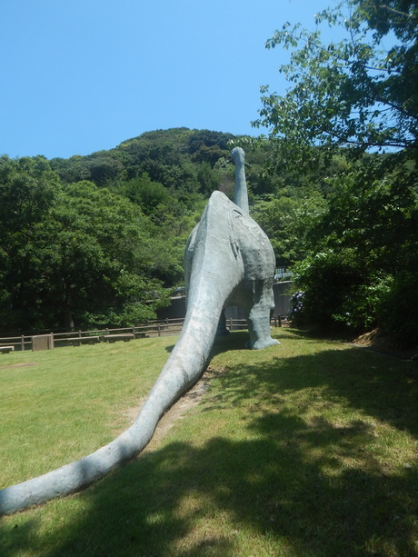DSCN8432
