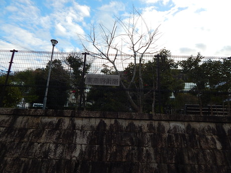 DSCN9022