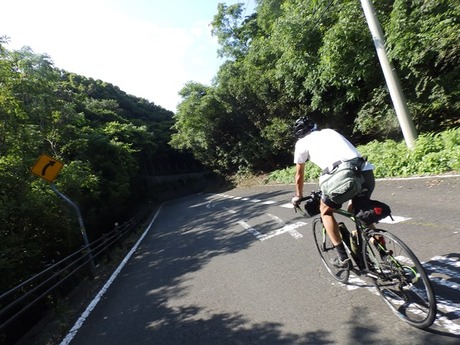 s-P7060174awajishima