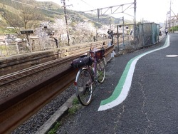 s-P4010443nara