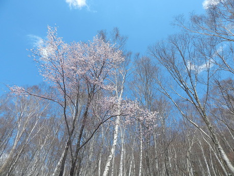 DSCN5823