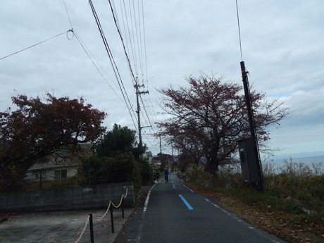 DSCN6661