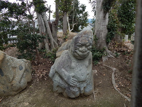 DSCN6675