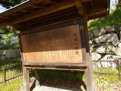 s-P4220250fushimi
