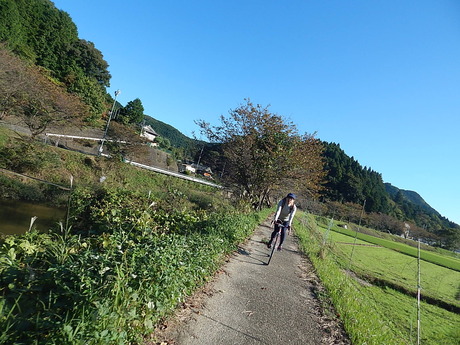 DSCN5680