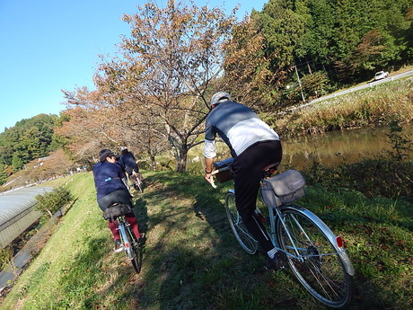 DSCN5671