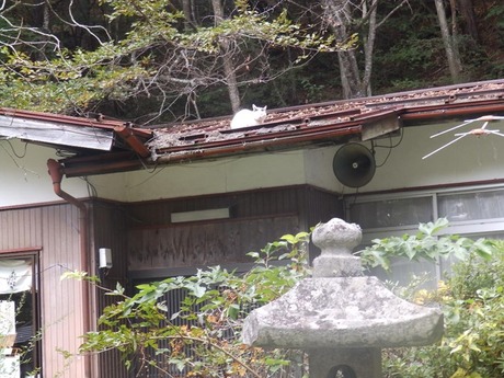 s-PA080233syunara