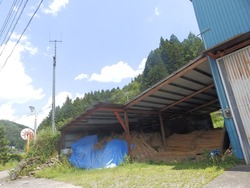 s-P8130294shikoku