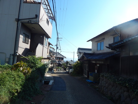 DSCN6209