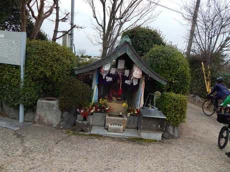 DSCN3190