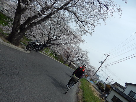 DSCN8534