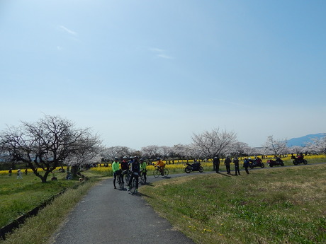 DSCN8481