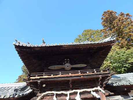 DSCN1293