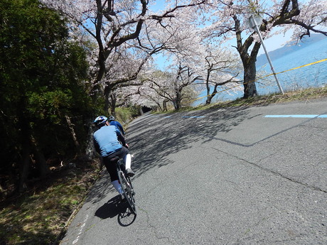 DSCN8887