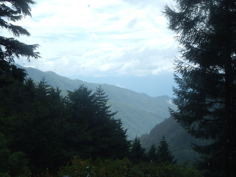 DSCN1168