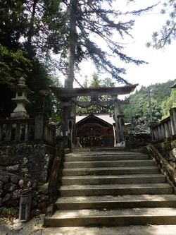 s-P8130304shikoku
