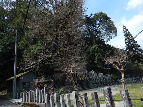 DSCN7735