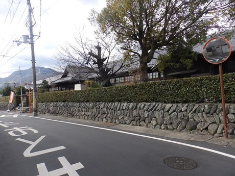 s-P1270079otai