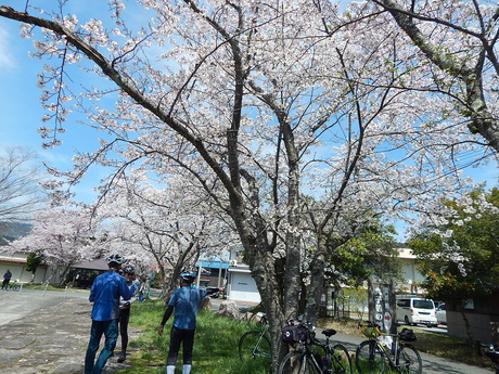 DSCN8941
