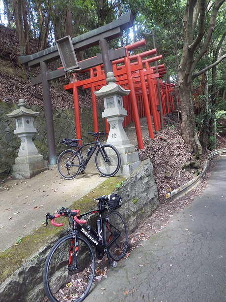 DSCN0539