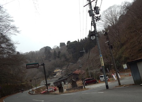 DSCN5545