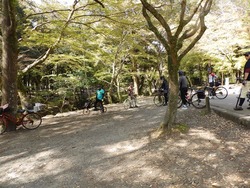 s-P4010229nara