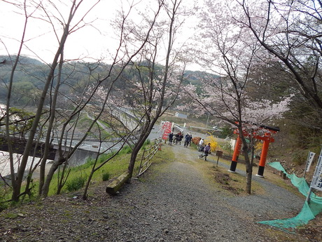 DSCN6016