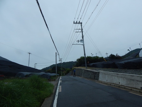 DSCN7806
