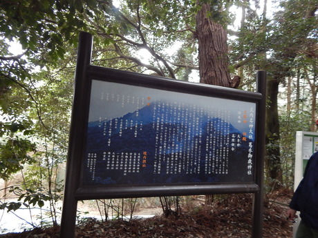 DSCN8287