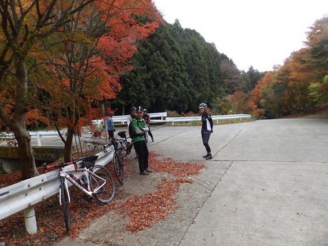 s-PB110213kushi