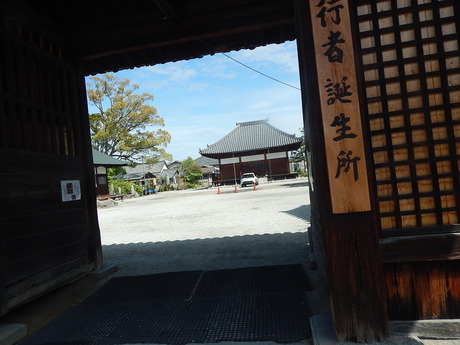 DSCN7067