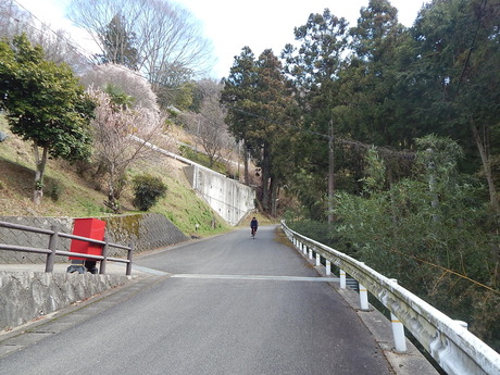 DSCN4261