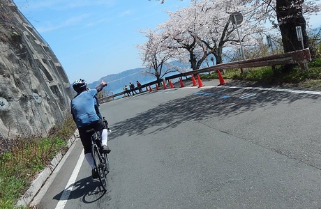 DSCN8885cc