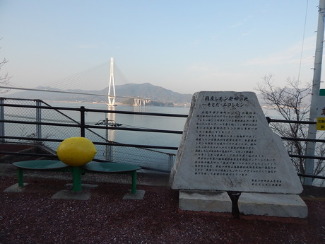 DSCN5008
