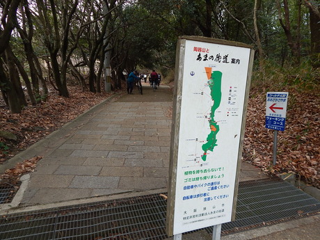 DSCN3164