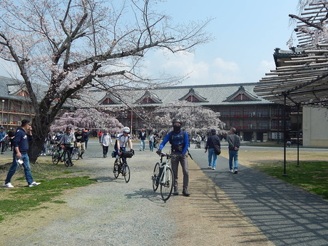 DSCN5878