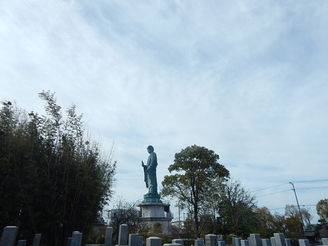 DSCN6719