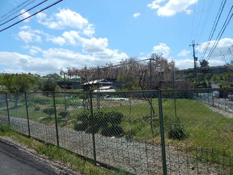 DSCN7092