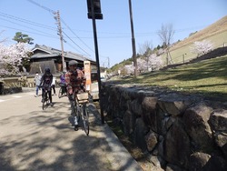 s-P4010226nara
