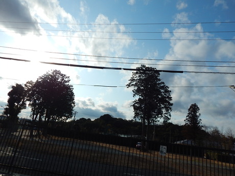 DSCN2945