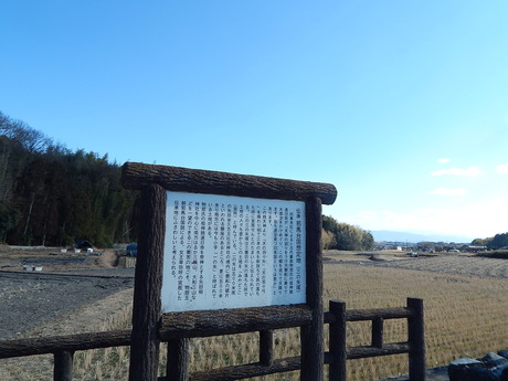 DSCN1308