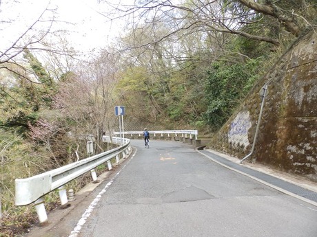 s-P4070208heguri