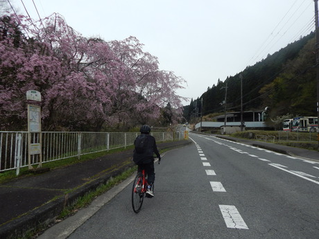DSCN6400
