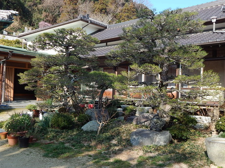 DSCN3388