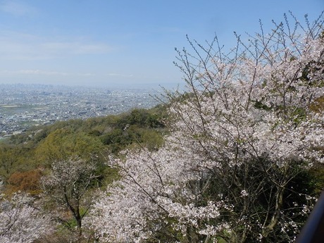 s-P4070180heguri