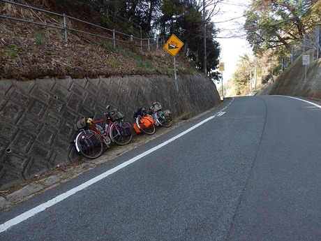 DSCN5196