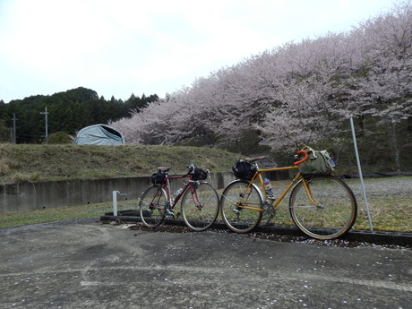 DSCN6172