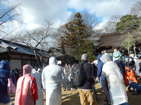 DSCN6028