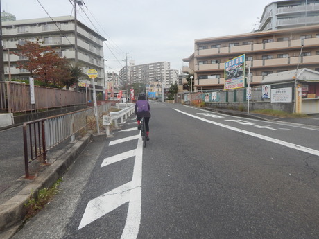 DSCN5195